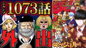【 ワンピース 1073話 】聖地から超大物襲来！CP0を封じるも次なる問題発生！奮闘するウィーブルとバッキンの思惑【  最新話 解説 】