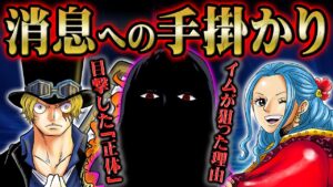 サボが見たものはイムではなくビビ...！？支配者の正体の鍵を握る2人行方は...【 ワンピース 伏線 予想 】