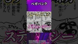 遂に明らかになったCP0"ステューシー"の正体とは...!!?【ワンピース考察 まとめ ネタバレ】