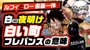 夜明け(DAWN)は近いぜよ! ルフィとローの表裏一体! 白い町フレバンスと珀鉛病が表すものとは? ワンピース ネタバレ 最新話 注意 考察 〝D〟とは何か ＋ローとベガパンクの表裏一体＋新年のご挨拶