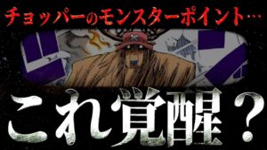 皆さんはどう思いますか？【ワンピース ネタバレ】【ワンピース 考察】