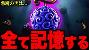 【ワンピース考察】なぜ悪魔の実の能力者は“前任者”と同じ技を使えるのか...？