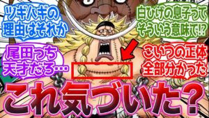 【ワンピース】【最新話考察】白しげの”ツギハギ”←これができた理由に気づいてしまった読者の反応集
