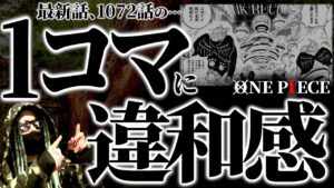 気付いた人、天才過ぎる・・・【ワンピース ネタバレ】