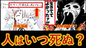 肉体の消滅は死じゃない！？ブルック不老不死説から説くワンピースの死生観【ワンピース考察】【ワンピースネタバレ】