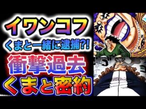 【ワンピース ネタバレ予想】くまの過去がヤバい！イワンコフの過去がヤバい！(予想妄想)