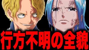 行方不明になった人物にとんでもない伏線が隠されていた決定的証拠が...【ワンピース考察 まとめ ネタバレ】