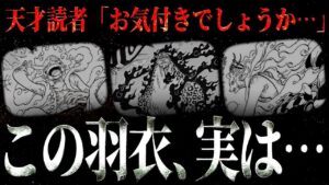 説明の難しい“色違いの羽衣”に関して、完璧な答えを提示する天才読者がヤバ過ぎる。【【ワンピース ネタバレ】【ワンピース 考察】