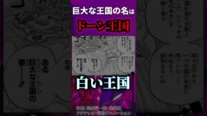 ドーンに隠されたとんでもない真実とは...!!?【ワンピース考察 まとめ ネタバレ】