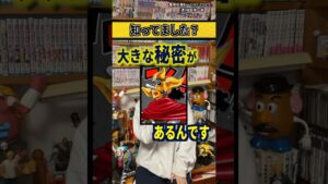 【ワンピースネタバレ】マジで分かっちゃいました。159