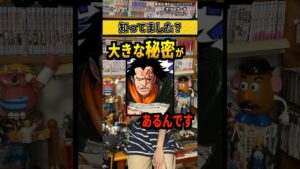 【ワンピースネタバレ】マジで分かっちゃいました。161