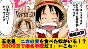 【ワンピース最新話】五老星 無能すぎてニカの実を食べたDの一族に3000万ベリーをつけてしまうwww【ONE PIECE】ネタバレ禁止【ワンピース反応集】
