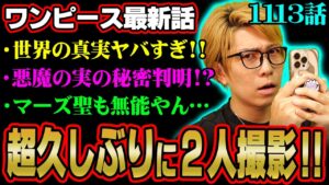 ワンピースの世界の「真実」遂に判明!!悪魔の実は“脳”に宿る!?無能星も相変わらずの最新話を語り尽くす!!!【 ONE PIECE 考察 最新 1113話 】※ジャンプ ネタバレ 注意