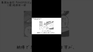 【ワンピース】空想の「表記」※ネタバレ注意