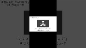 【ワンピース】空想の「関係」※ネタバレ注意