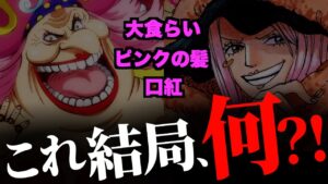 ２人の共通点は何を意味していたのか？【ワンピース ネタバレ】