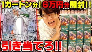 超激レアレイリー神引きなるか⁉︎『二つの伝説』1カートン引いて即査定の開封バトルでまさかの結果に！【 ワンピースカード ONE PIECE ワンピカ ティアワン コミパラ 】