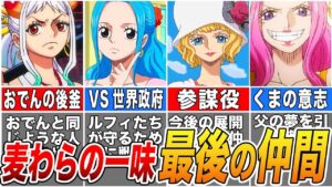 【ワンピース】麦わらの一味10人目は〇〇！麦わらの一味最後の仲間問題最終結論【ゆっくり解説】【ネタバレ】