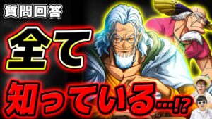 【 ワンピース最新1113話 】レイリーがコーティング屋をやってる理由がヤバい…!? ※ジャンプネタバレ注意 / 質問回答