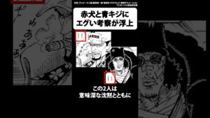 1114話の赤犬と青キジの意味深な描写からエグい考察が浮上【ワンピース】 #Shorts