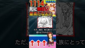 【ワンピース ネタバレ1114最高だな2予想】（予想考察）#ワンピース#ワンピースネタバレ #ONE PIECE #ワンピース最新話