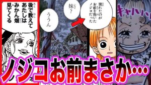【最新1115話】世界の真実を聞かなかったノジコをみてついに”あの事件”の真相に気づいてしまいました【ワンピース ネタバレ】