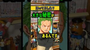 【ワンピースネタバレ】マジで分かっちゃいました。164