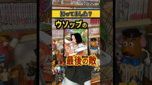 【ワンピースネタバレ】マジで分かっちゃいました。168