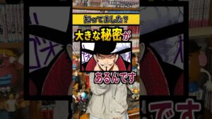 【ワンピースネタバレ】マジで分かっちゃいました。171