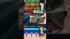 【ワンピース ネタバレイムが泣いた2予想】（予想考察）#ワンピース#ワンピースネタバレ #ONE PIECE #ワンピース最新話