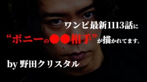99.9%見逃す“神発見”をした野田クリスタル氏がヤバ過ぎる件。【ワンピース ネタバレ】【ワンピース 1113話】
