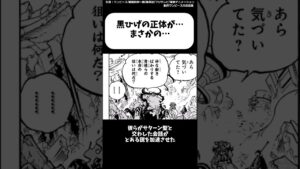 【驚愕】黒ひげの血縁関係がまさかのアイツだった！？#ワンピース#考察#ネタバレ注意#ONE PIECE
