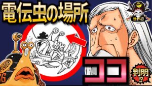 「映像電伝虫」のありか判明!?電伝虫の真の正体【ONEPIECE考察】【ネタバレ】