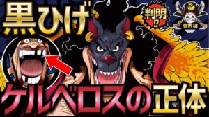 黒ひげ「歯並び」の秘密！ケルベロスの正体【ONEPIECE考察】【ネタバレ】