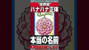 【ワンピース】※全視聴者が騙された※ハナハナの真の能力。五老星がダーメージを受けない理由。瞬間移動。ウミウミの実。想像のニカと創造のイム生みの能力【最新話がもっと楽しみになる考察】【ネタバレ】【黒磯】