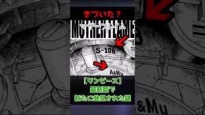 【ワンピース】新たに発見された２つの謎が話題です。