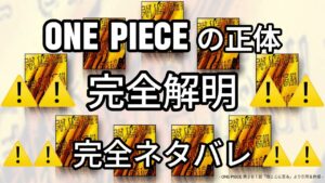 世界初考察＆最終証明！！尾田先生ごめんなさい！！！⚠️✨「 ワンピースの正体」を完全解明✨⚠️ ※完全ネタバレ注意！！