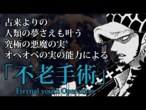 【ワンピース】不老手術※ネタバレ注意