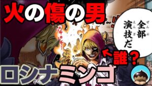 【ワンピース考察】火の傷の男はドフラミンゴ。火の傷、真っ黒い船、大渦、マリージョアの国宝、全部まとめて話します。