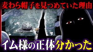 イム様のヤバすぎる正体判明。ジョイボーイとの関係はガチでこれかもしれません【 ワンピース 考察 】※ネタバレ 注意